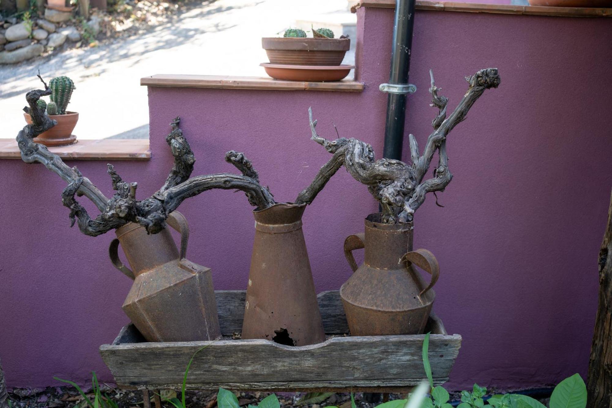 Agriturismo Etna-Mare ปิเอดิมอนเต เอตเนโอ ภายนอก รูปภาพ