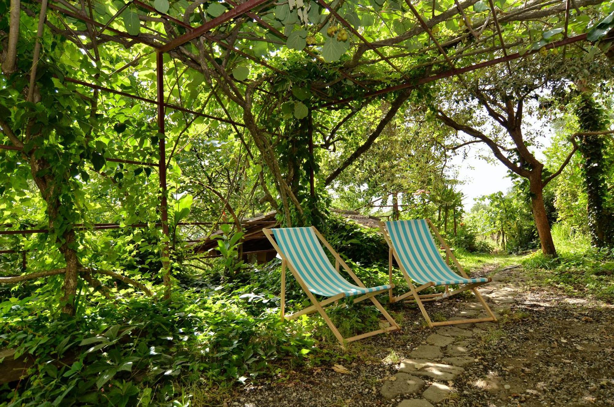 Agriturismo Etna-Mare ปิเอดิมอนเต เอตเนโอ ห้อง รูปภาพ
