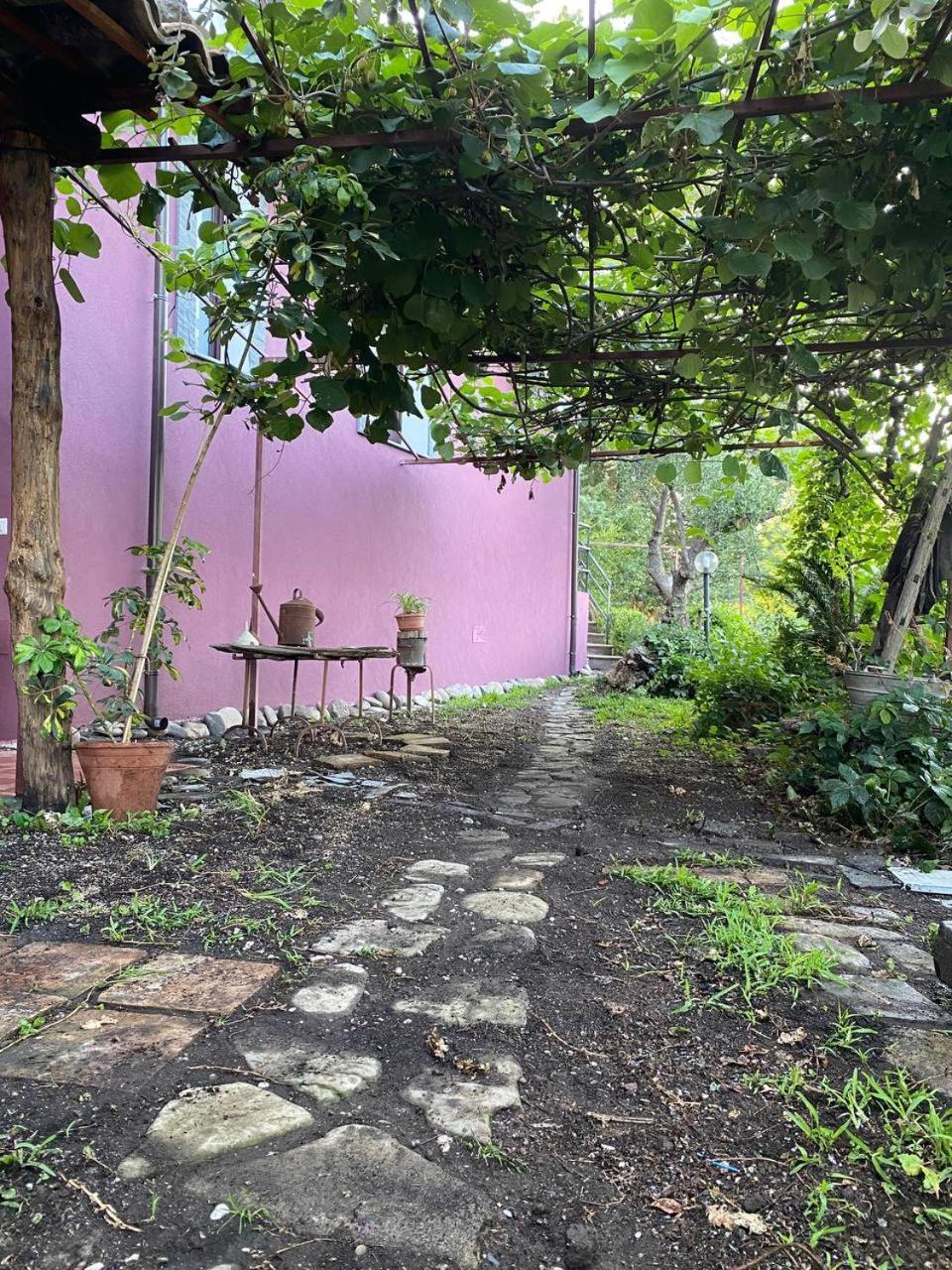 Agriturismo Etna-Mare ปิเอดิมอนเต เอตเนโอ ห้อง รูปภาพ