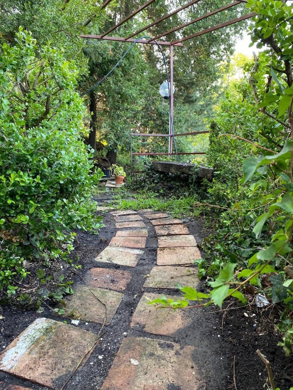 Agriturismo Etna-Mare ปิเอดิมอนเต เอตเนโอ ห้อง รูปภาพ