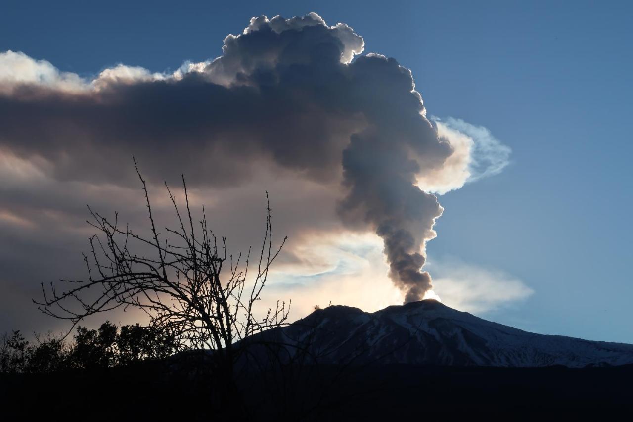 Agriturismo Etna-Mare ปิเอดิมอนเต เอตเนโอ ภายนอก รูปภาพ