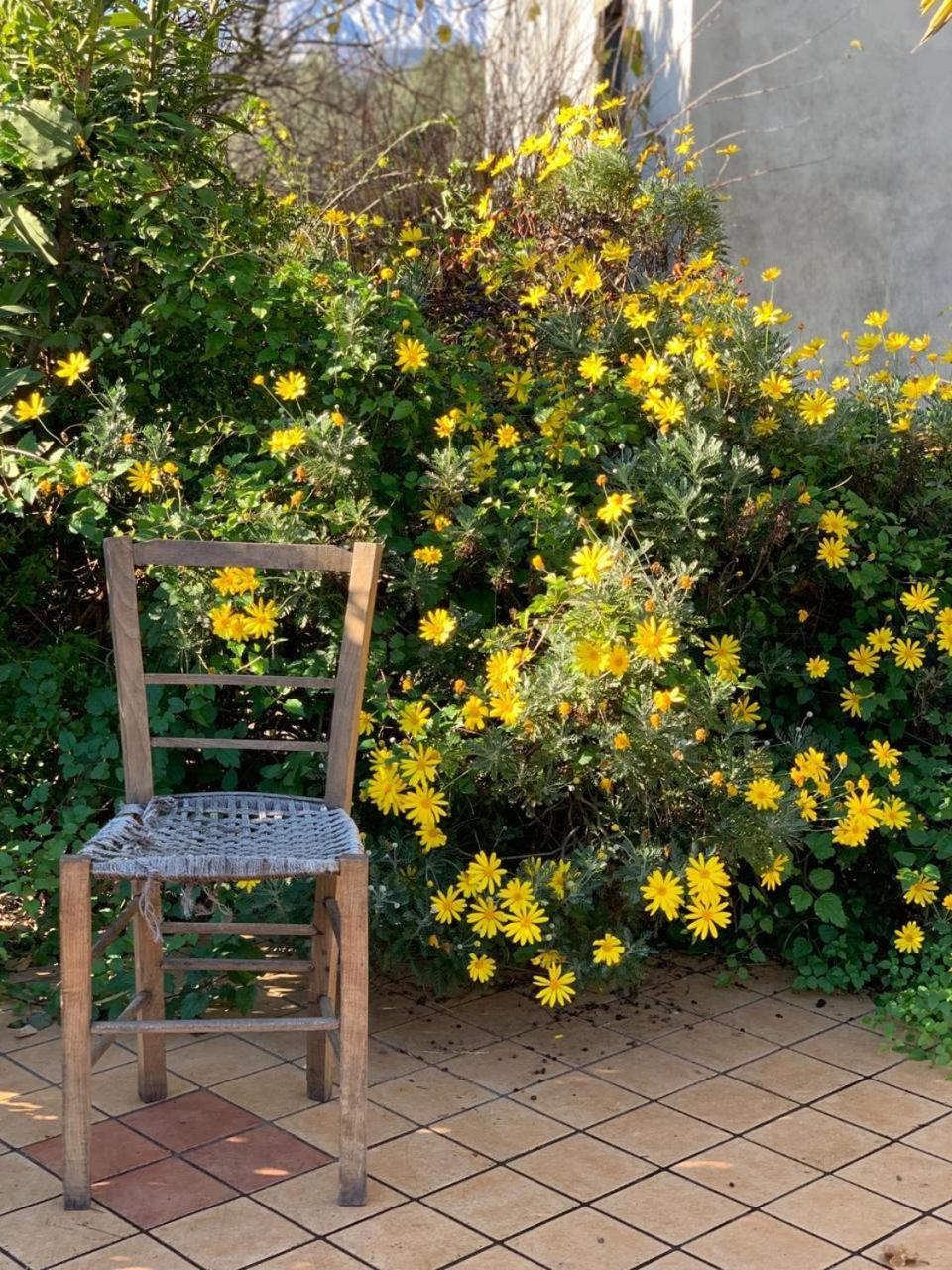 Agriturismo Etna-Mare ปิเอดิมอนเต เอตเนโอ ภายนอก รูปภาพ